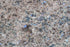 Full Tile Sample - Labrador Antique Granite Tile - 12" x 12" x 3/8" Polished