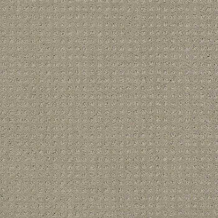 Foundations Perpetual Move Nylon Lady In Gray 00590