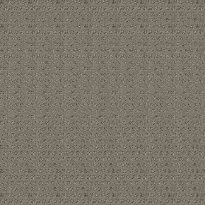 Caress By Shaw My Expression Nylon Lady In Grey 00554