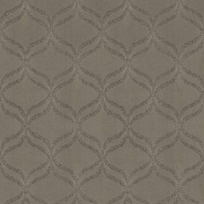 Caress By Shaw Appreciation Nylon Lady In Grey 00554