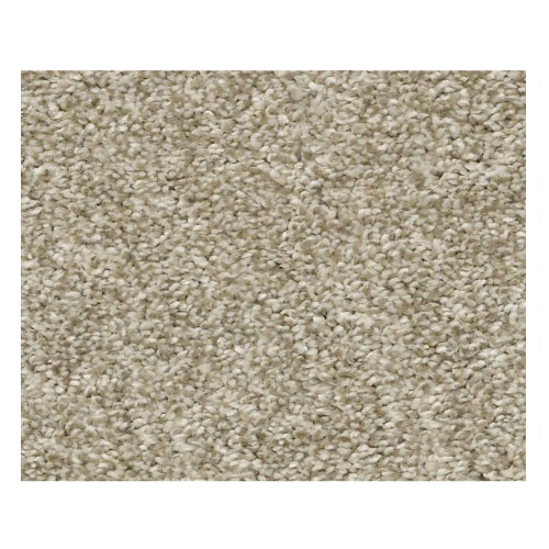 Shaw Rincon 00700 Latte Textured Nylon Carpet | Lowest Price — Stone ...