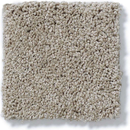 Soft Shades My Choice I Latte 00152