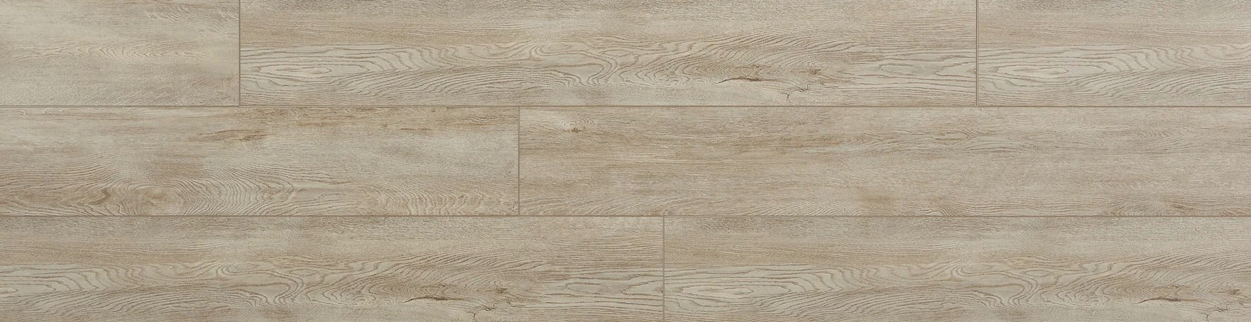 Great California Oak Laurel Oak RECA2202