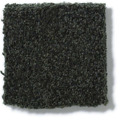 Sandy Hollow Classic IV 15' Lilly Pad 00320