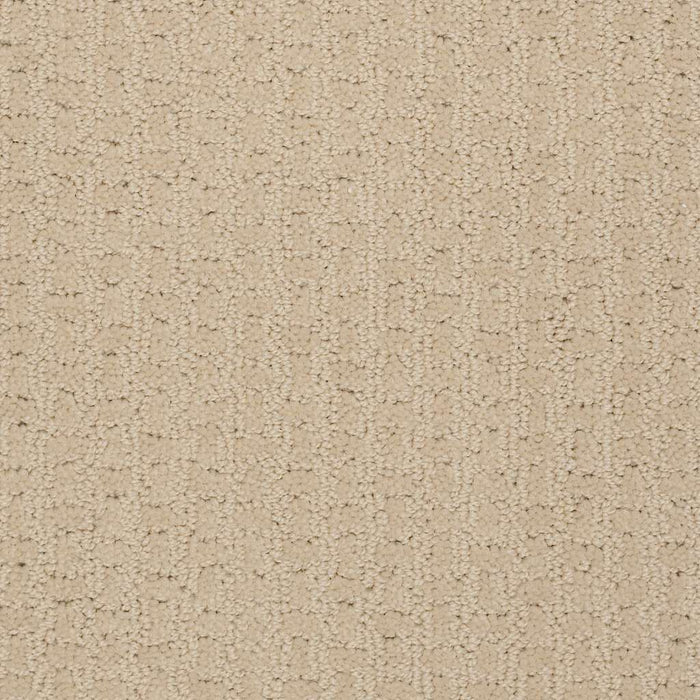 Shaw Floor Studio Best Hope Nylon Linen 00101