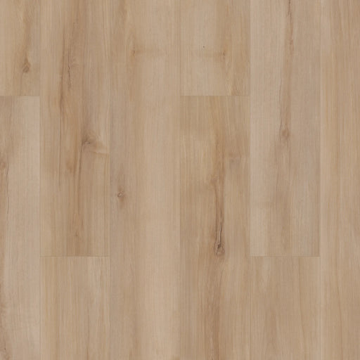 COREtec Pro Plus Enhanced Vinyl Lucent Oak VV492-2028