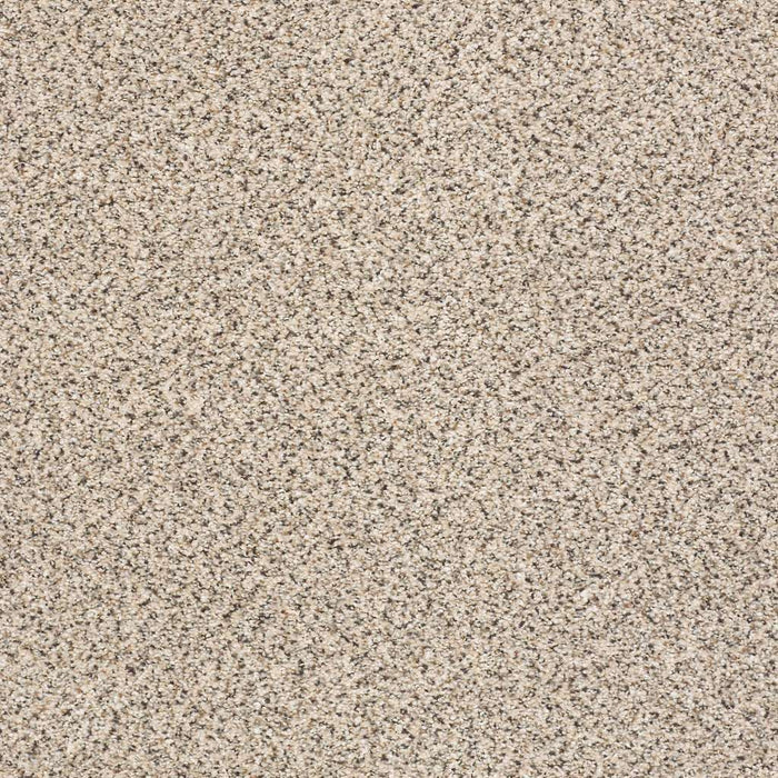 Foundations Take The Floor Accent II Nylon Luna 00174