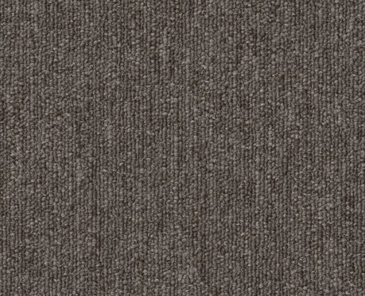 Profusion Bl 20 Taupe / Brown 00702