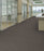 Profusion Bl 20 Polyester Taupe / Brown 00702