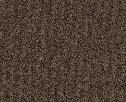 Profusion Bl 20 Dark Brown 00735