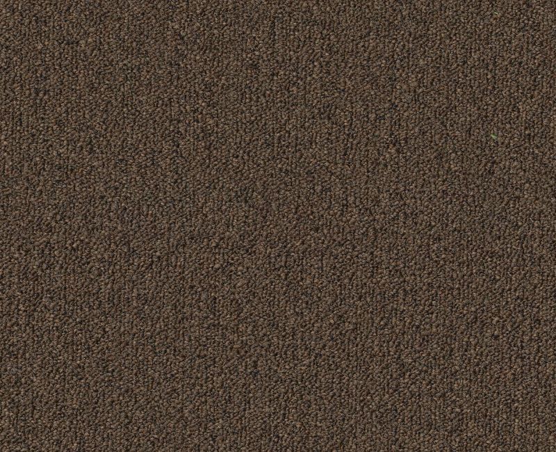 Profusion Bl 20 Dark Brown 00735