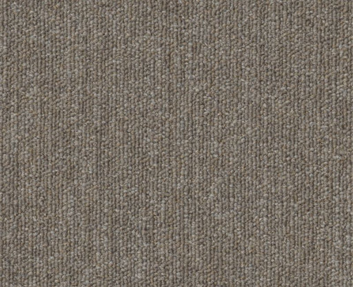 Profusion Bl 13 Taupe / Gray 00200