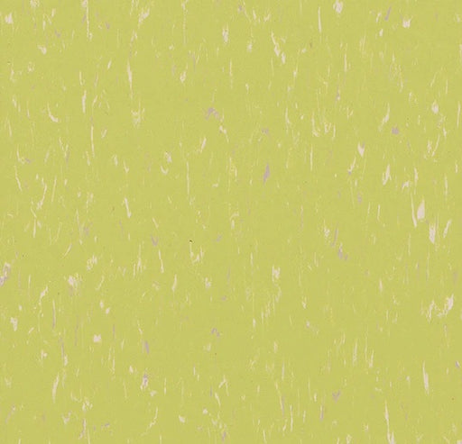 Marmoleum Composition Tile (MCT) Orchid Green MCT 3655