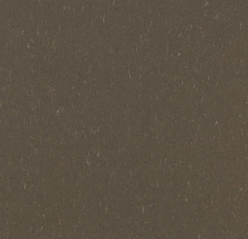 Marmoleum Composition Tile (MCT) Hazelnut MCT 3657