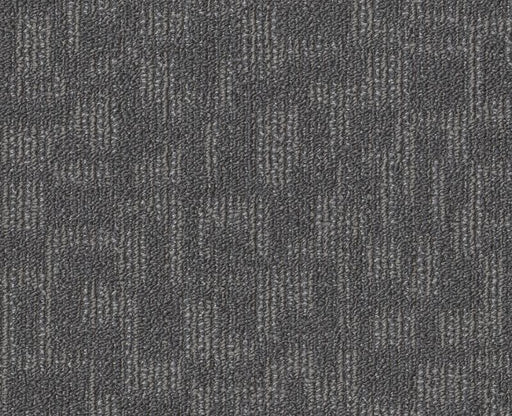 Forge Med Gray 00505