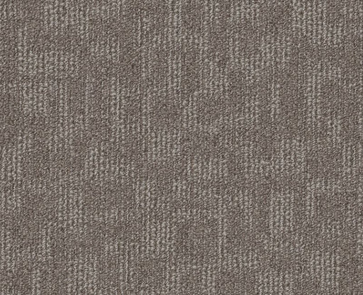 Forge Gray Beige 00515