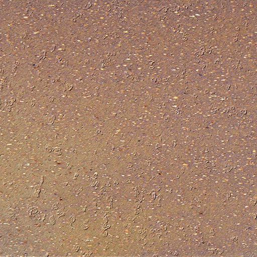 Metropolitan Azteca 255