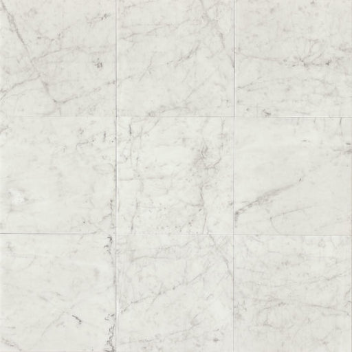 White Carrara WHTCAR Honed
