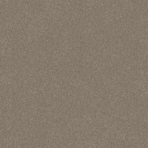 Simply The Best Without Limits II Macadamia 00102