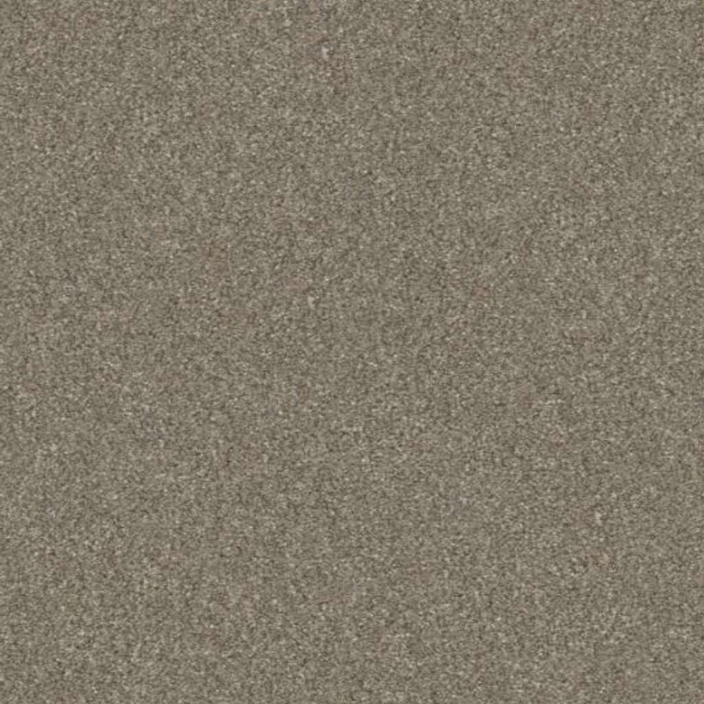 Shaw Simply The Best Without Limits III 00102 Macadamia Carpet — Stone ...