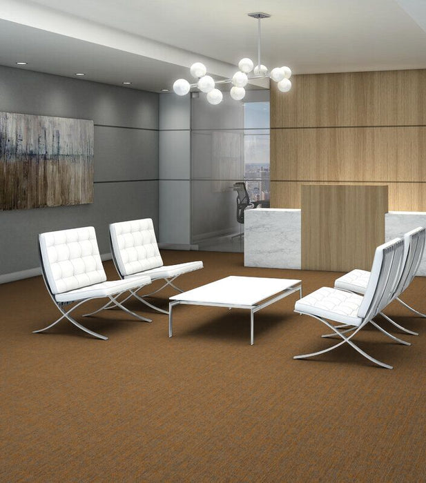 Philadelphia Commercial Beyond Basic Crazy Smart 00610 Magnetic Carpet ...