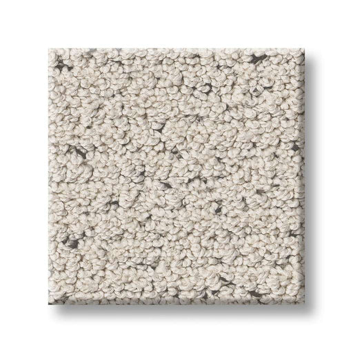 Pet Perfect Intricate Trace Marble 00103
