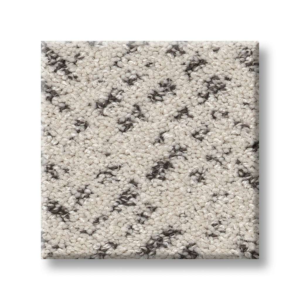 Shaw Pet Perfect Favoured Path 00103 Marble Pattern Polyester Carpet