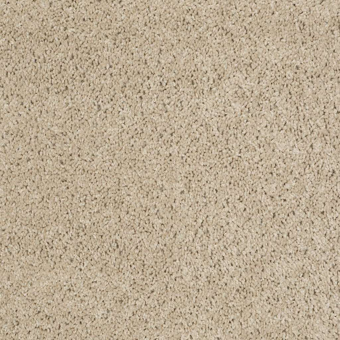 Shaw Floor Studio Complete Allure (S) Nylon Meadow Mist 00700