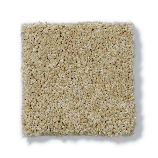 Soft Shades My Choice III Mesa 00105