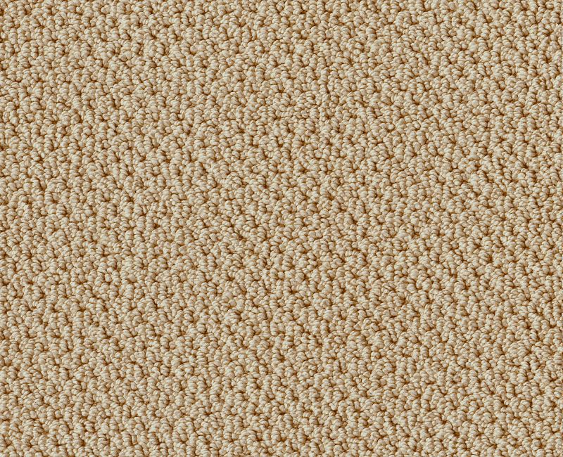 Shaw Smart Thinking 00105 Mesa Loop Nylon Carpet Lowest Price — Stone