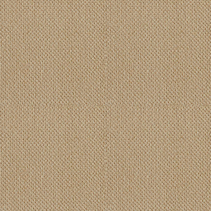 Timeless Charm Loop Nylon Mesa 00105