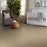 Shaw Floor Studio Around The House I Mesa 00105 Textured Nylon