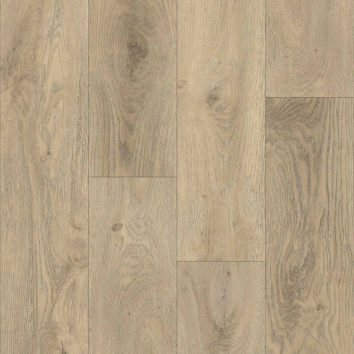50 エレガンス Mineral_Oak_1500x.jpg?v=1702394025