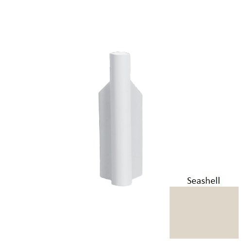 MCB Seashell 074
