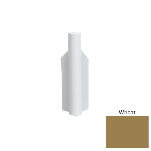 MCB Wheat 098