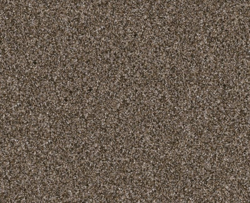Shaw Yes You Can Ada1 12' 00705 Mission Ridge Polyester Carpet — Stone ...
