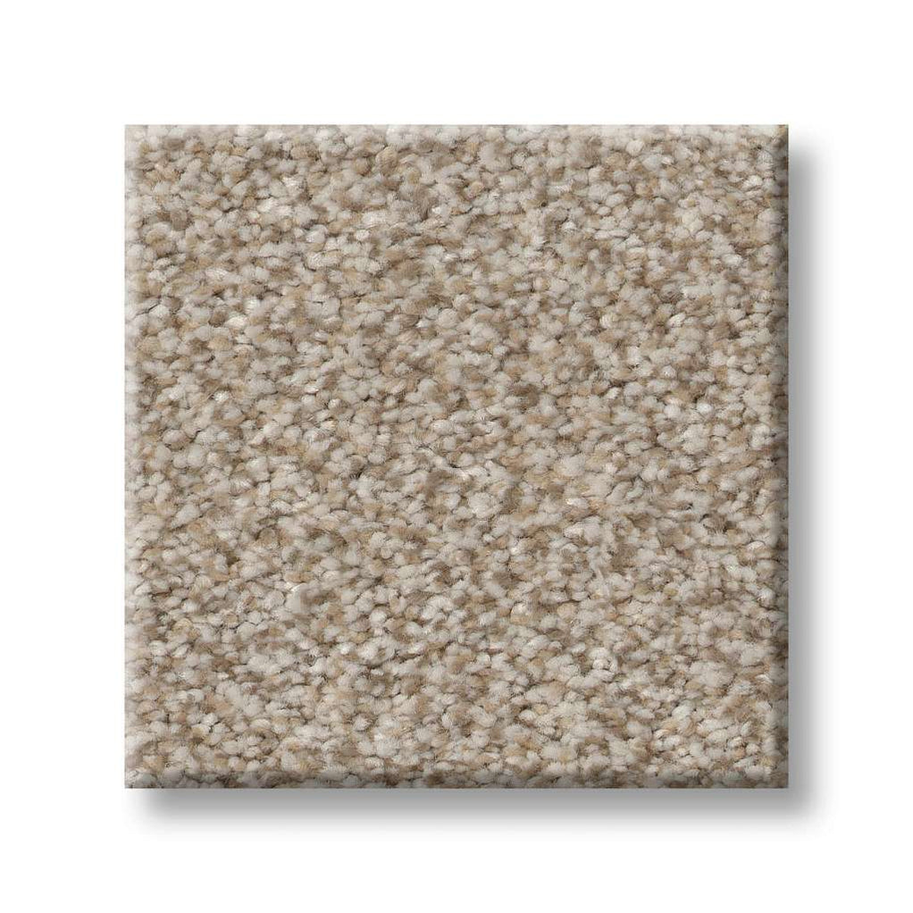 Shaw Simply the Best Values Trusplendor 00103 Mist Polyester Carpet