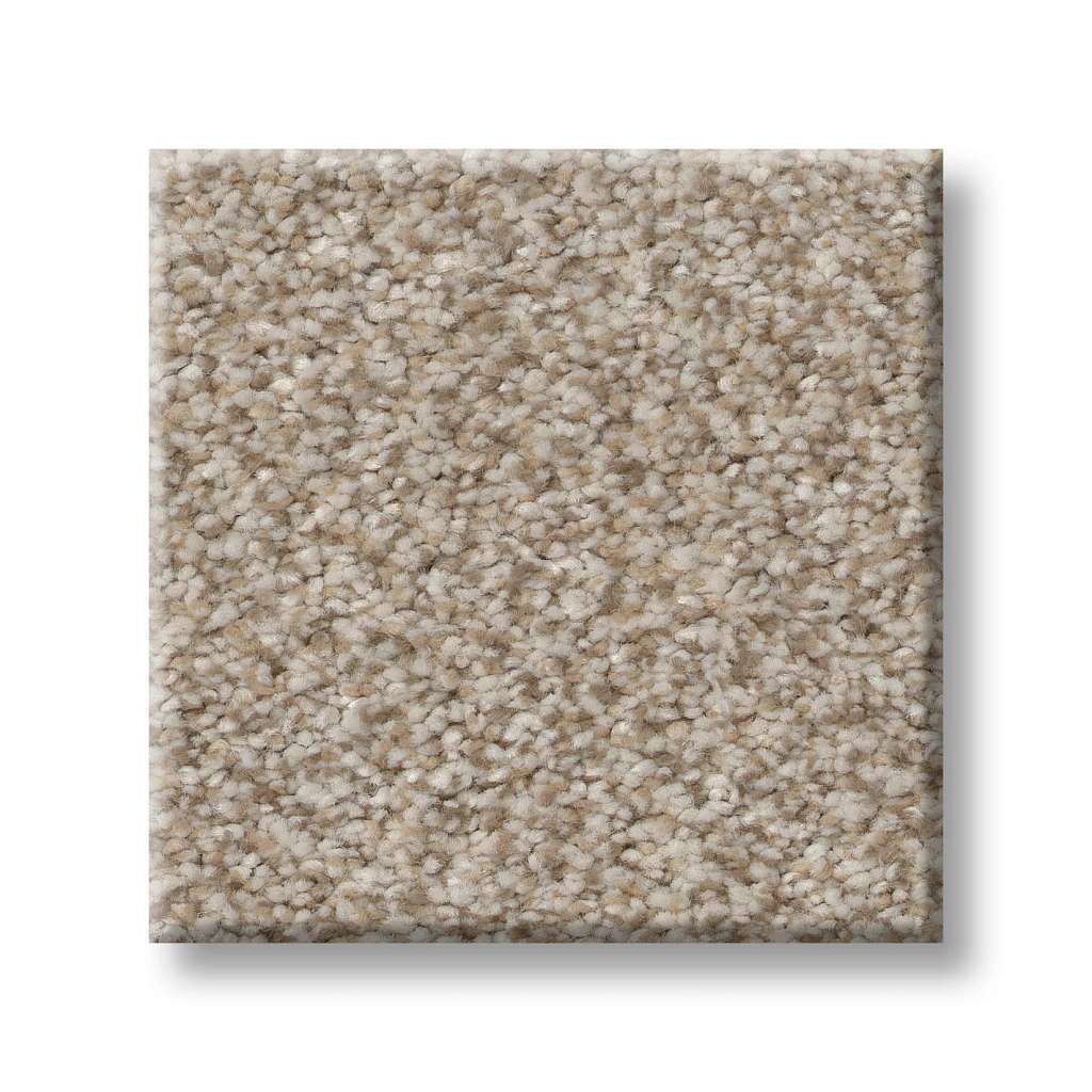 Create Neutral Charm With Beige Carpets