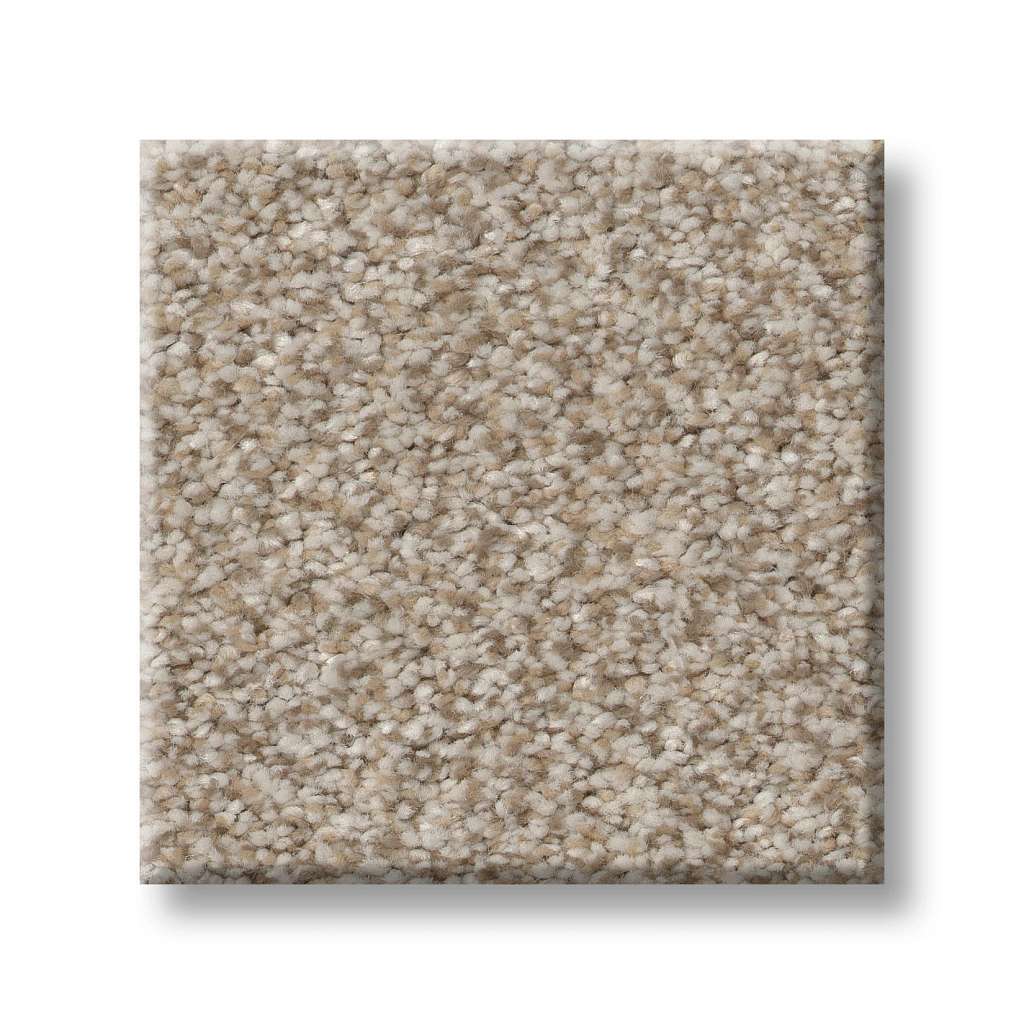 Polyester Carpets | Stone & Tile Shoppe