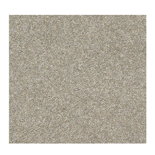 Shaw Rincon 00510 Misty Harbor Textured Nylon Carpet | Lowest Price ...