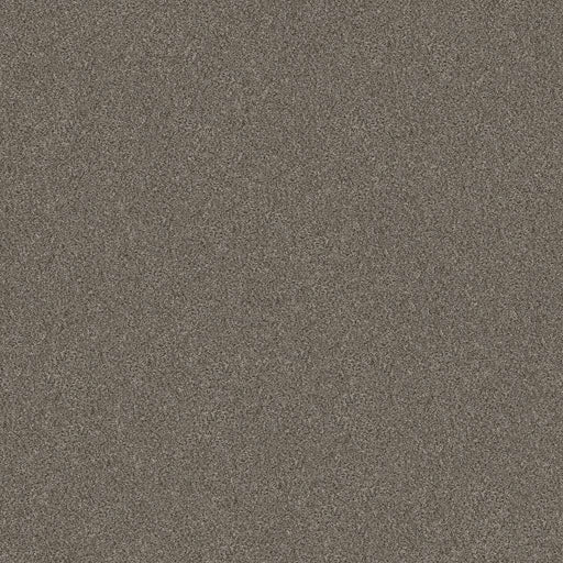 Simply The Best Without Limits III Misty Mica 00105