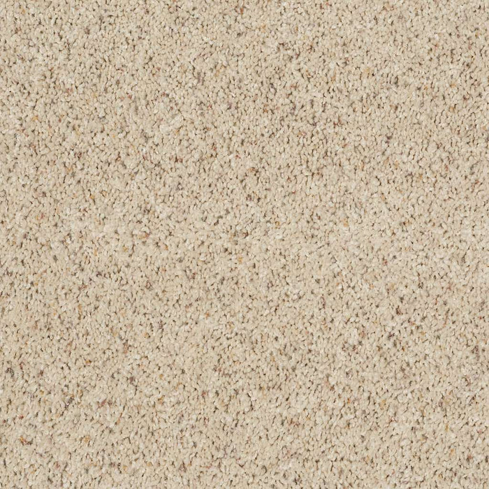 Shaw Floor Studio Complete Allure (B) Nylon Misty Mica 00160