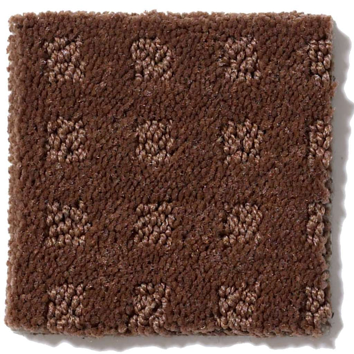 Shaw Floor Studio Style With Ease Mocha Chip 00706