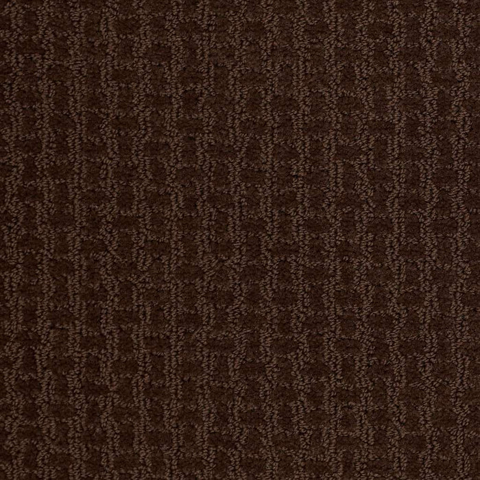 Shaw Floor Studio Best Hope Nylon Mocha Chip 00705