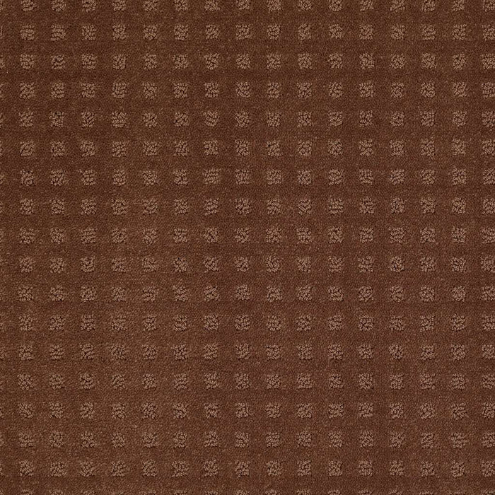 Shaw Floor Studio Style With Ease Nylon Mocha Chip 00706