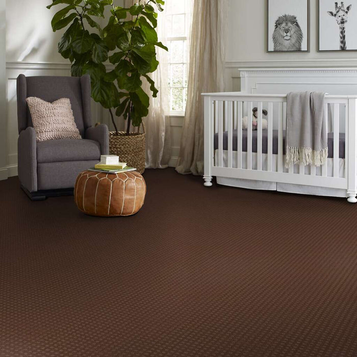 Shaw Floor Studio Style With Ease Mocha Chip 00706 Pattern Nylon