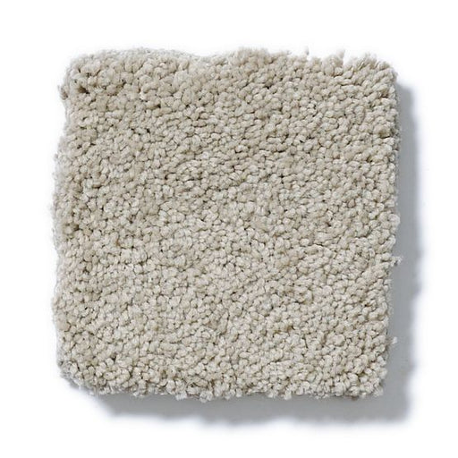 Pet Perfect Pawparazzi II Mocha Cream 00711