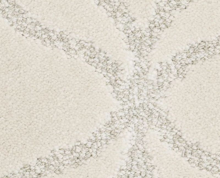 Shaw Appreciation LG 00102 Mohair Pattern Nylon Carpet Lowest Price