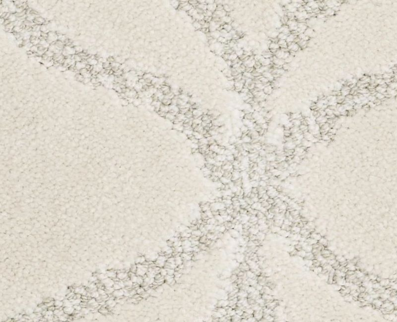 Shaw Appreciation LG 00102 Mohair Pattern Nylon Carpet Lowest Price