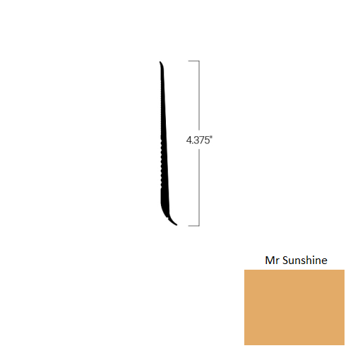 Johnsonite Mr Sunshine S102676-VM8-WB0004-TDCR4